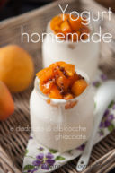 Yogurt homemade e dadolata di albicocche ghiacciate