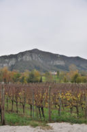 Un weekend tra le vigne: Tenuta Bersi Serlini.