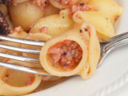 Conchiglie Benedetto Cavalieri al ragù di polpo