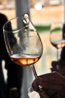 Quanti sono i colori del vino? Prima video lezione del mini corso God Save The Wine
