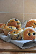 Blueberry muffins