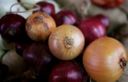 21 sfumature di cipolle e come usarle: la guida definitiva