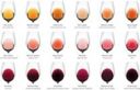 I colori del vino: il grafico per passare da intenditori