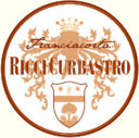 Ricci Curbastro