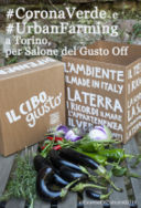 Salone del Gusto Off: scoprire l'Urban Farming a Torino