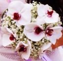Eleganza e Galateo per le nozze di Primavera-Estate: LA SPOSA