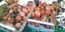 Come conservare i Funghi