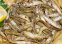 Il Fritto di Acquadelle (o Latterini o Aole)