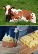 Svizzera, paese delle meraviglie, regno dei formaggi