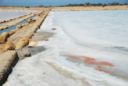 Marsala, il mio full immersion nel Wine, giorno terzo