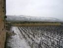 Contraste Bourguignon