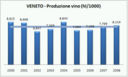 Veneto - produzione di vino e superfici vitate - aggiornamento 2008