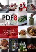 il PDF di aprile. un anno di calycanthus