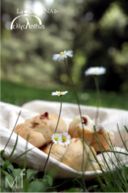 preparate i cestini e il vestito bianco