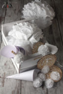 pic nic bianco notte