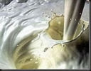 Come Surgelare Uova Latticini Burro e Formaggi