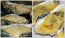 Ostriche alla Mornay
