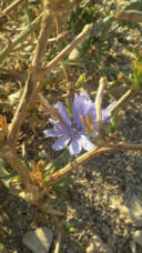 A voi. Cuori di pietra.