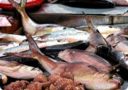 Il pesce rappresenta un alimento importante nella nostra dieta: come sceglierlo e trattarlo.