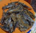Sardine al forno