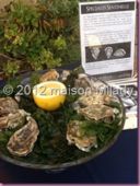 Oyster lab: tutto quello che avreste sempre voluto sapere sulle ostriche!