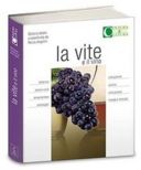 La vite e il vino