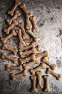 Biscotti per cani con mele / Dog biscuits with apples