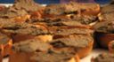 I crostini di fegatini di pollo alla toscana, ecco la ricetta originale