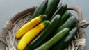 Come cucinare le zucchine lesse, al forno o ripiene