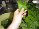 Le cime di rapa e patate in padella con la ricetta del contorno veloce