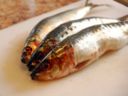 Sarde ripiene alla ligure, ecco la ricetta della tradizione