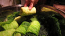 Involtini di verza e riso, ideali per i vegetariani