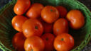 Mandarini con gelato, il dessert facile e veloce