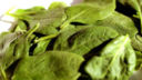 Ecco gli spinaci con besciamella da fare al forno