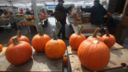 La zucca: le proprietà nutrizionali e le varietà dell'ortaggio tipico di ottobre