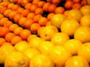I consigli della spesa di dicembre: frutta, verdura e prodotti tipici del mese