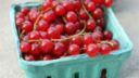 La torta ribes e cioccolato per il dessert facile e goloso