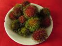 Rambutan