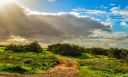 CIPRO: terra di fiori 12 mesi l’anno. Scopritela attraverso la sua natura…