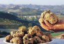 Sapori da re con la Mostra del Tartufo Bianco di San Miniato