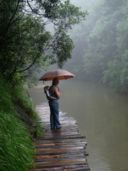 Cina e ambiente: tra aumento delle foreste, pesticidi e salvaguardia della biodiversità