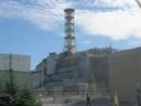 Gli effetti di Chernobyl sulla flora locale