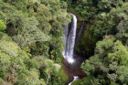 In Amazzonia la deforestazione è in netto calo