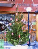 Bologna, lucine sull'albero di Natale accese pedalando 12 biciclette