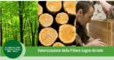 Bosco Mobile, in Lombardia la filiera del legno diventa sostenibile e certificata