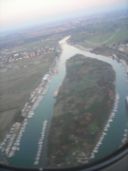 Moria di pesci nel canale di Isola Sacra a Fiumicino