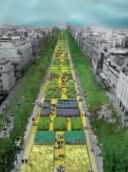 Parigi, per la Festa della biodiversità gli Champs-Élysées trasformati in giardino