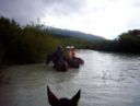 Parchi a cavallo, trekking nel Parco Naturale delle Foreste Casentinesi