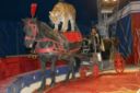 Circo Martini, la LAV denuncia l'esibizione di tigre su cavallo