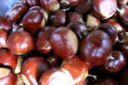 Come preparare le castagne lesse: la ricetta, il tempo e la cottura